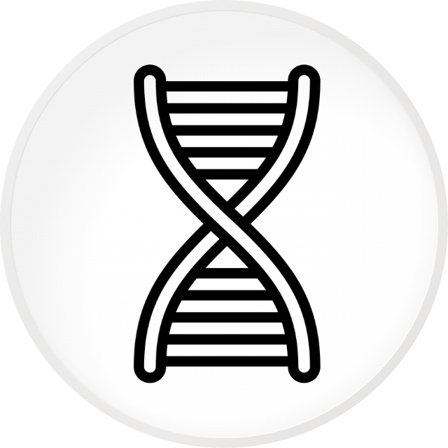 XDNA token